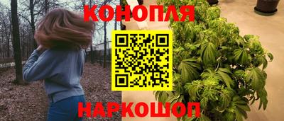 спиды Краснодар